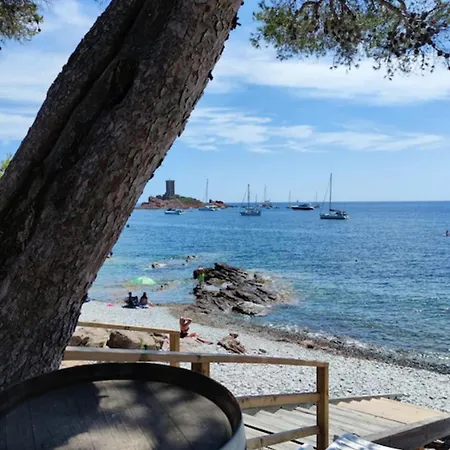 Charming T2 100 Meters From The * Fréjus